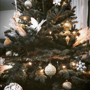 Meet your Posher, Kaytee